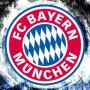 bayern13